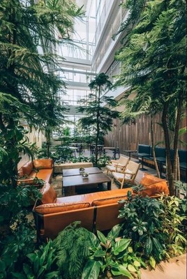 安泰實(shí)業(yè)官宣--上水咖啡品牌正式成立!