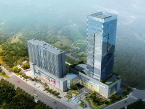 四川藍(lán)圖 未來五年打造最美農(nóng)業(yè)主題公園、國際康養(yǎng)城、文化特色街區(qū)與園林實(shí)業(yè)